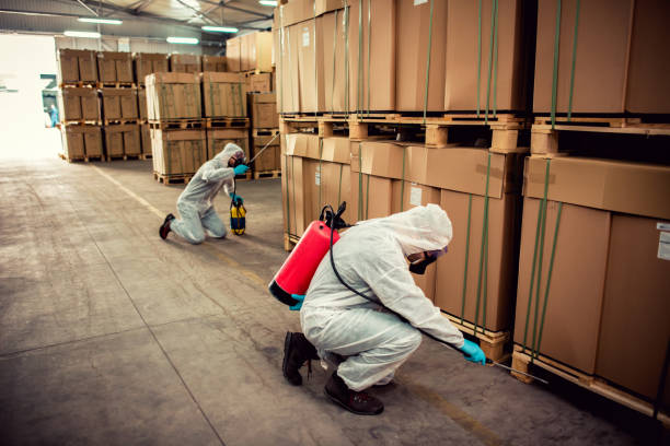 Best Bed Bug Extermination  in Camp Swift, TX