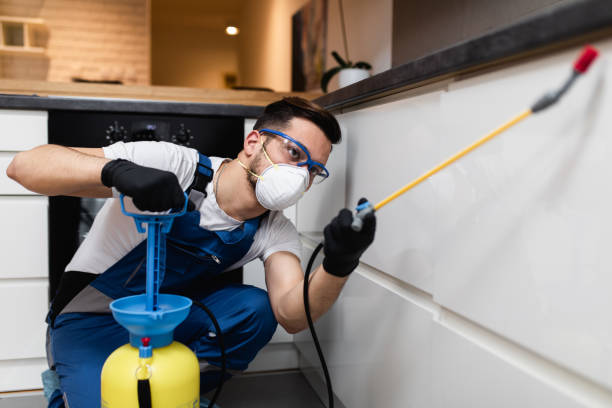 Best Residential Pest Control  in Camp Swift, TX