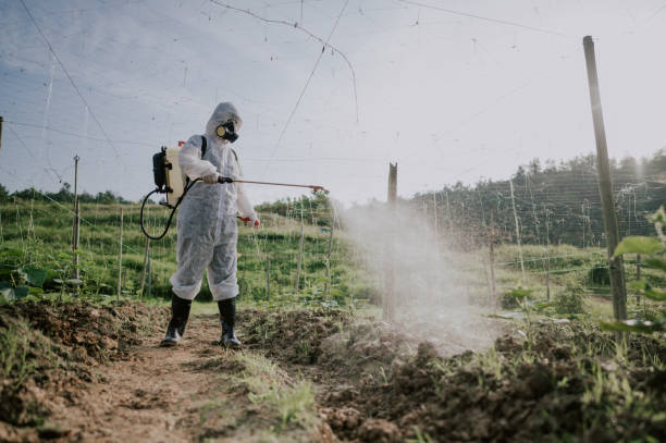 Best Mosquito Control Services  in Camp Swift, TX