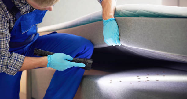 Best Commercial Pest Control Services  in Camp Swift, TX