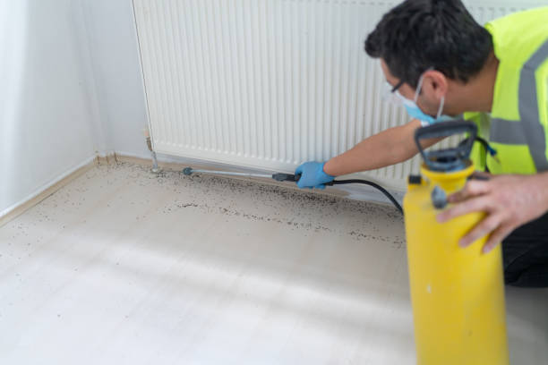 Best Bed Bug Extermination  in Camp Swift, TX